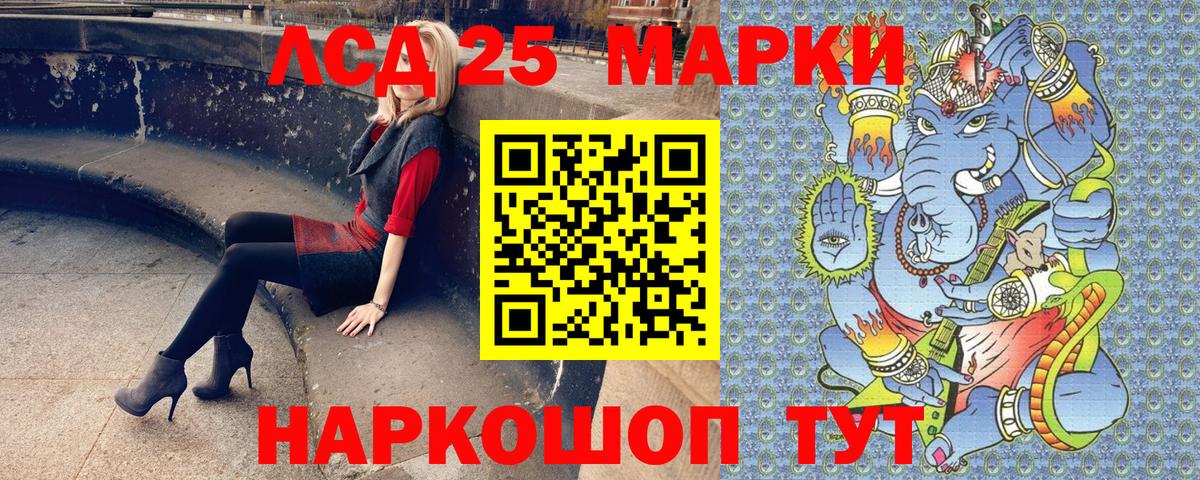 МЕФ Петропавловск-Камчатский