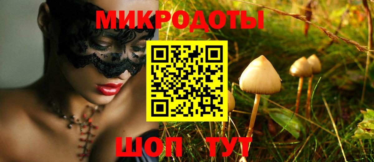 Псилоцибиновые грибы Psilocybe  Вход с VPN  Петропавловск-Камчатский  Галлюциногенные грибы MAGIC MUSHROOMS 